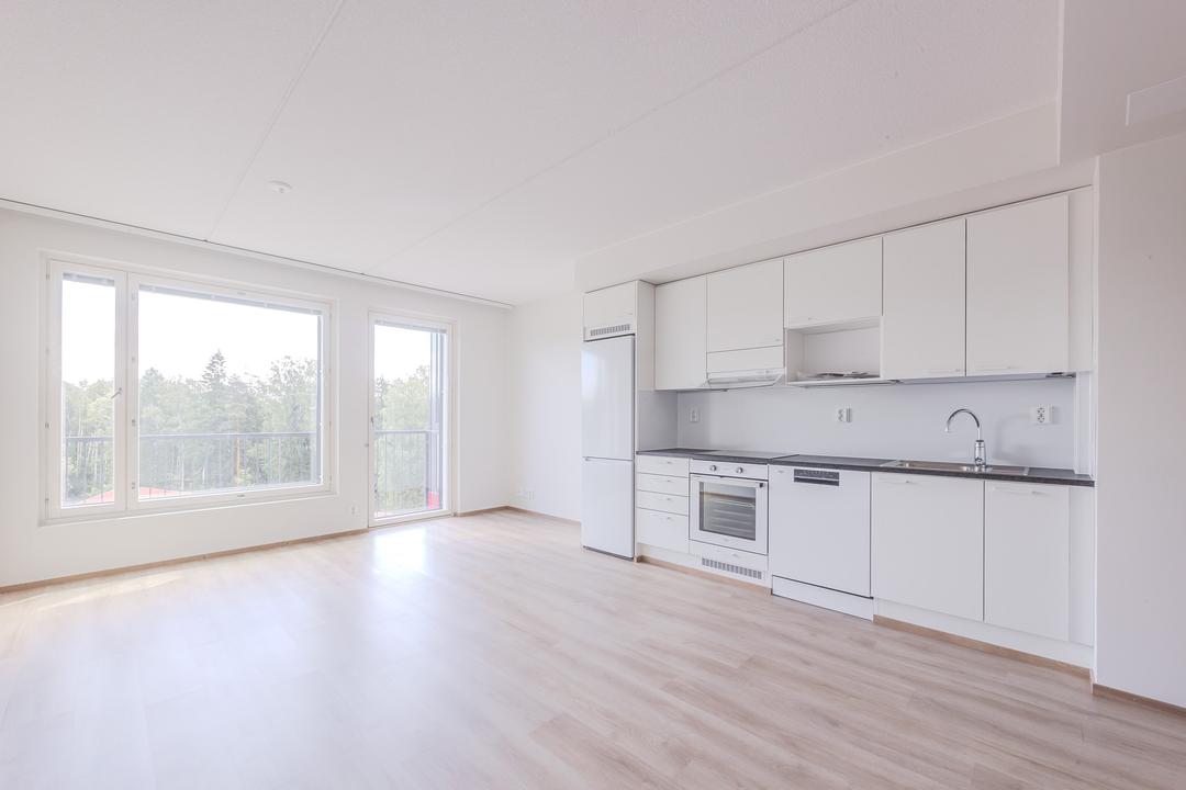 Pähkinänsärkijä 4 D 20