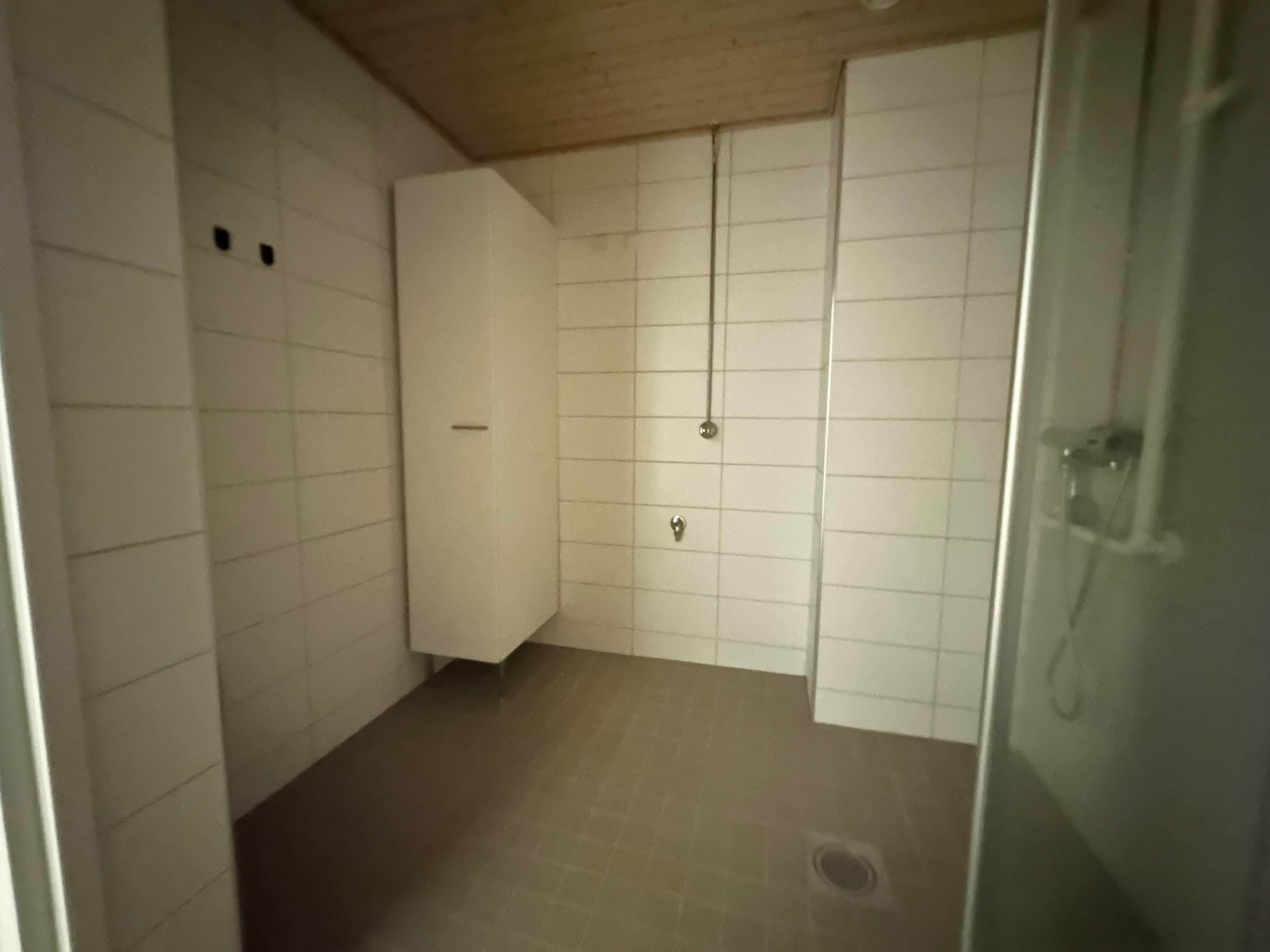 233316