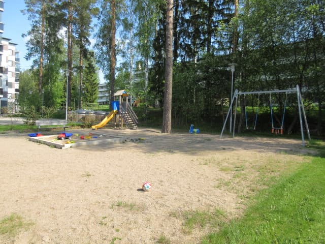 6081