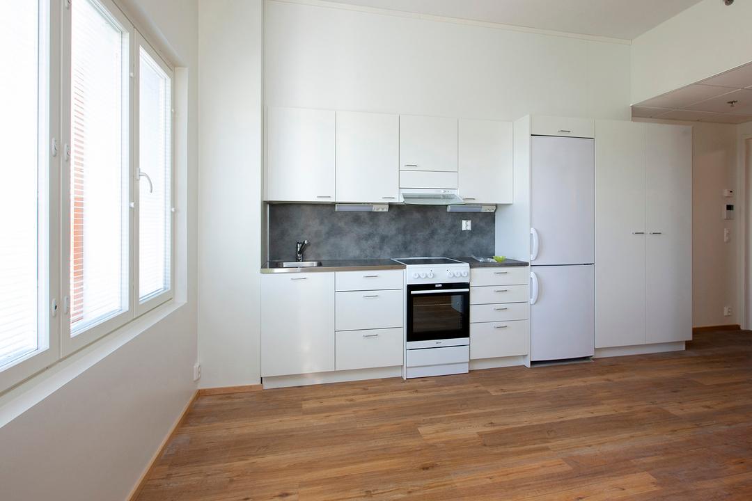 Kuninkaanhaanpiha 2 as 30